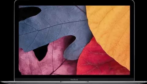 لپ تاپ 12اینچی Apple مدل MJY32