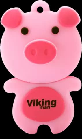 فلش مموری 8گیگابایت Viking مدل VM218