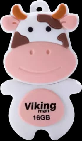فلش مموری 16گیگابایت Viking مدل VM214