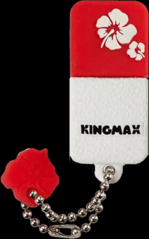 فلش مموری 8 گیگابایت Kingmax مدل  UI-01