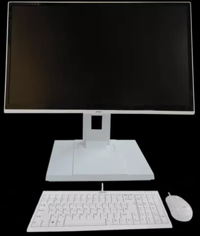 آل این وان (ALL IN ONE) 4 گیگابایت 1 ترابایت 21.5 اینچ MSI مدل PRO 22XT 10M